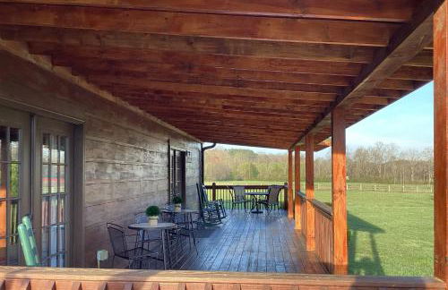 Lil Yellowstone - Foto 53