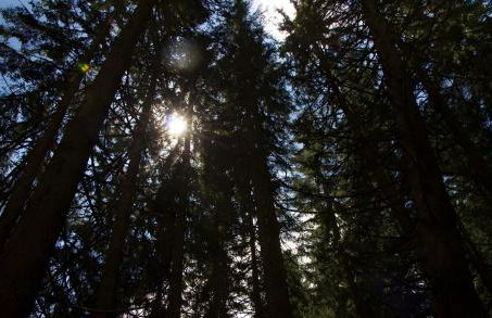 Ferienhaus Casa del diavolo - Foto 17