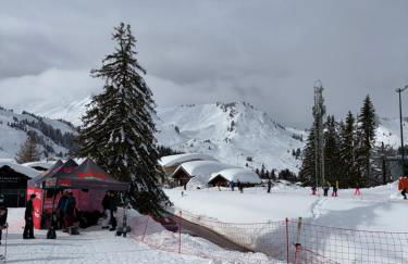 Appartement PRAZ DE LYS TMB - Foto 14