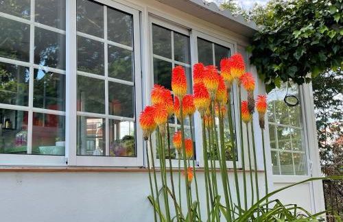 Sesimbra Country House with Swimming Pool - Foto 19