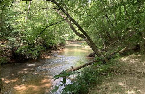 Beautiful Waterfront Cabin with Hot Tub near Winston-Salem, North Carolina - Foto 28
