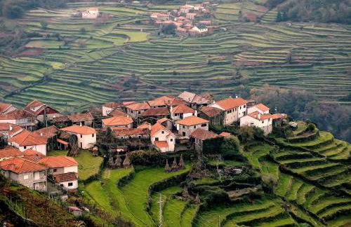 Casa da Ferreirinha - Foto 34