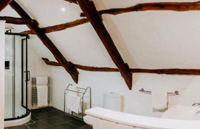 Treleddyn Farmhouse - Photo 41