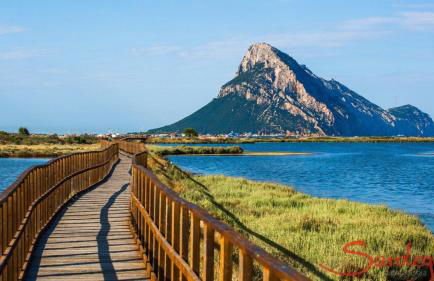 Vista Tavolara - Sardegna Holiday Apartment - Photo 49