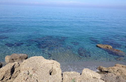 Le Clos des Arbousiers - Foto 42