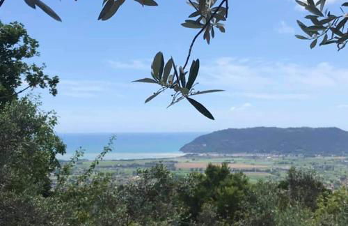 A CASA DI OLIVO - Foto 41