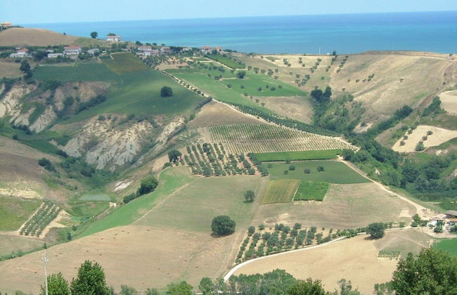 Agriturismo Le Macine - Foto 33