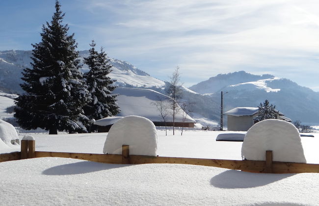 Les Cimes du Léman - Photo 37