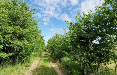 Doppelhaushälfte Ostwind vom Naturhof Usedom - Foto 62