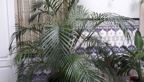 Atico Soleado - Foto 3