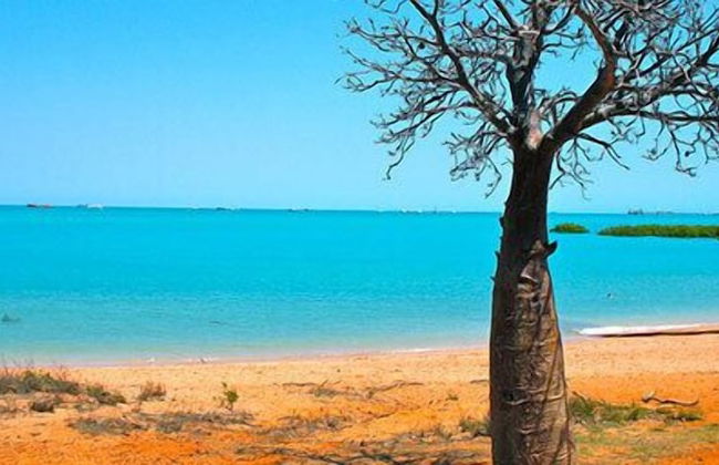 Beach House on Fox - Photo 23