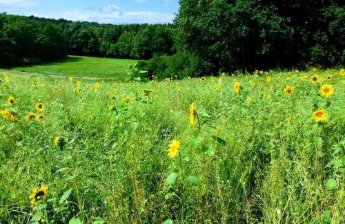 Moderne Wohnung im Herzen der Natur - Ingo's Dream - Foto 16