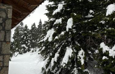 Anemoria Chalets-Castalia Chalet - Foto 12