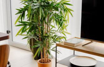 Edgar Suites Vicat - Porte de Versailles - Foto 29