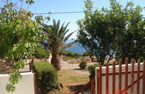 Zorbas Rooms - Photo 14