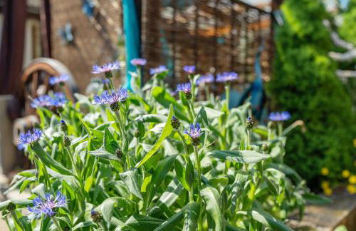 Hobbit Lounge - Foto 36