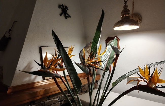 a Vacation That Becomes a Dream - Photo 8