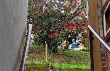 Apartamento completo no Centro histórico - Photo 21