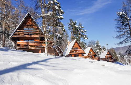 Ośrodek Wczasów Zdrowotnych Rudawka Rymanowska - Foto 2