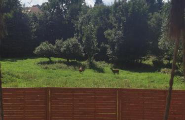 Nad Potokiem z Alpakami - Foto 39