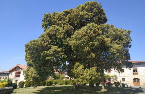 Areeta Etxea - Foto 17