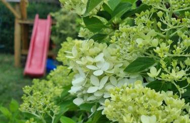 Domki Boszkowo-Dominice Bliźniak 2 apartamenty - Foto 9