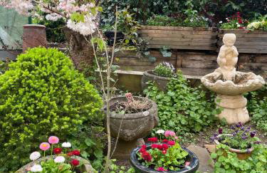 Bumble Bee Cottage - Photo 17