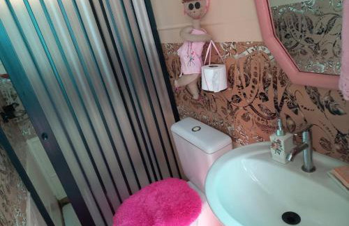 Barco Casa Pantanal Toca da Onça - Photo 23