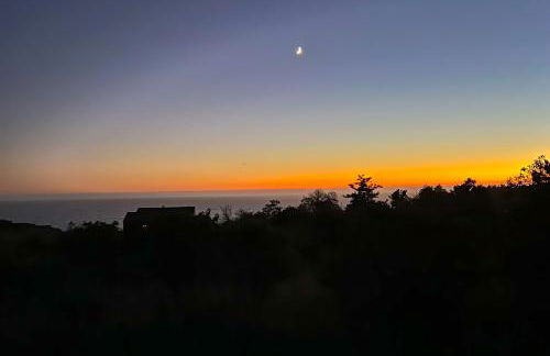 Wild Meadow - Foto 36