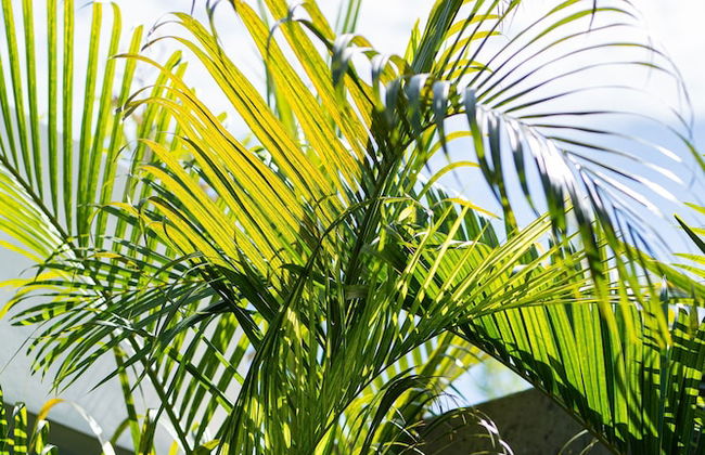 Ayona Villa Seminyak by Ini Vie Hospitality - Photo 53