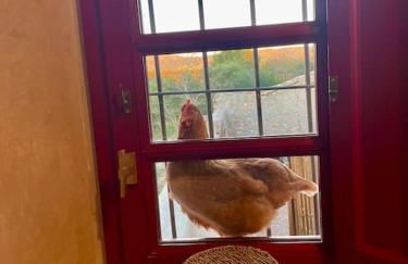 Masía entre viñedos y mar - Foto 43