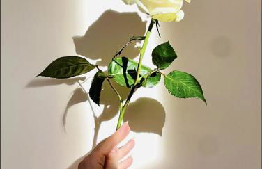 Cosy Suite - Élégance & Calme en Hyper-Centre - Foto 40