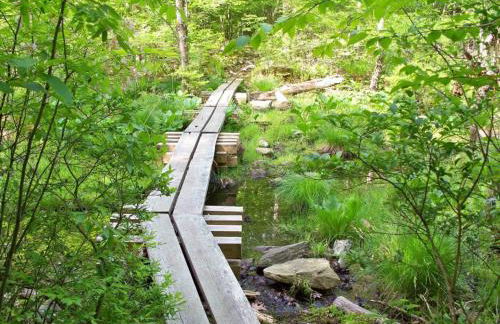 Hoppy Hill Farm House - Foto 39