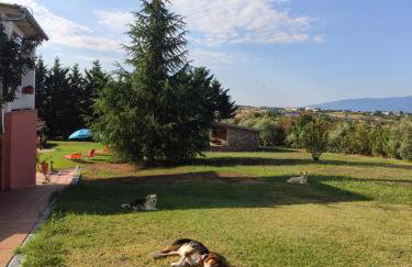 Villa AVRA - Photo 28