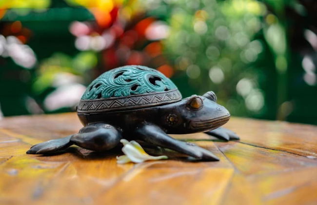 Luxury Villa Rose and Villa Rosebud - Foto 32