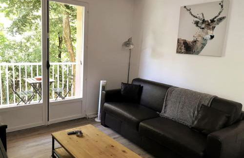 LE NID DE LA PIRAZ - Parking, Balcon & Netflix ! - Foto 10