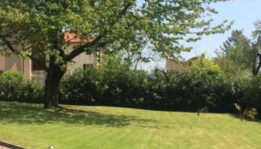 I Ciliegi - Foto 5, Garden view