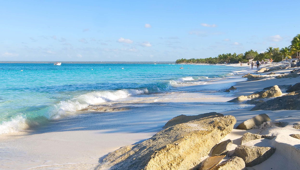 Catalina Island Day Trip + Snorkeling