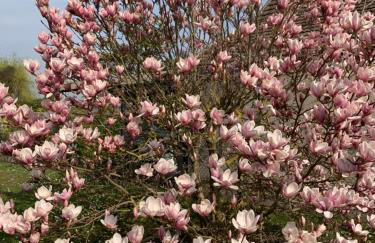 CLOS DE LA BRIQUETERIE - Foto 41