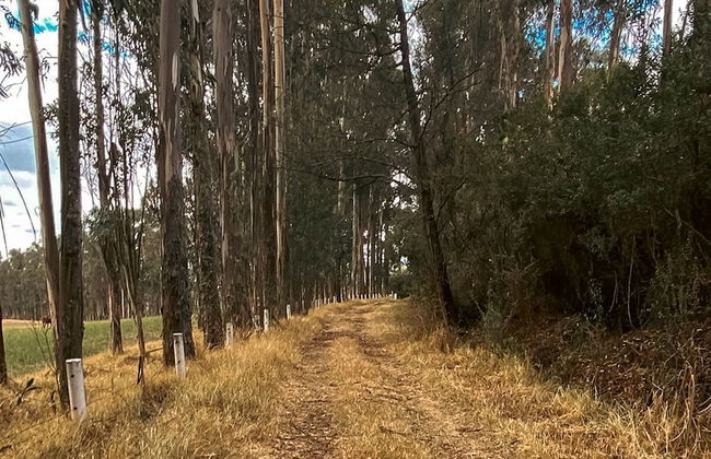 HACIENDA COCHAUCO - Foto 30