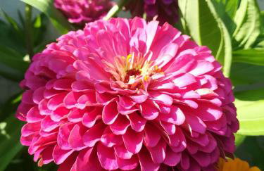 Apartments Eliva - Foto 43