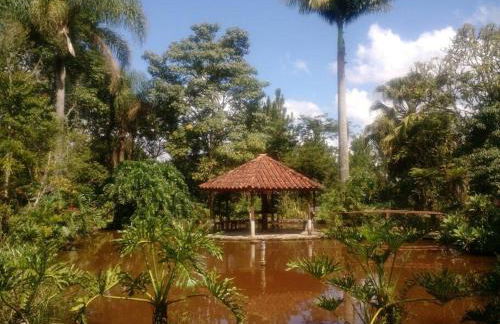 Sítio Nosso Cantinho - Foto 6