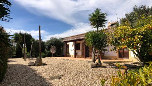 Monte da Azinheira - Foto 3, Garden