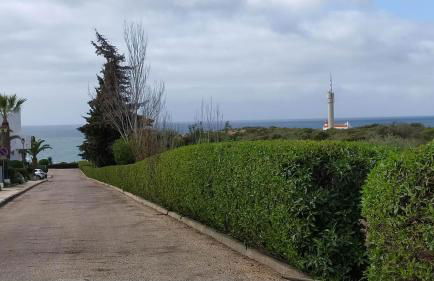 Three Palms Apartment - Foto 26