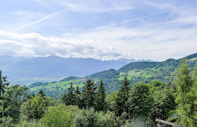 Le Bristol B36 - Foto 16