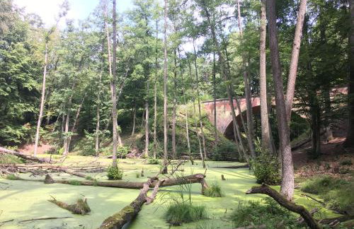 Domek Dębowy 1 - Foto 26