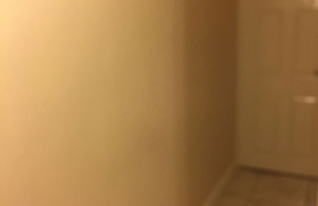 Bourne Court - Photo 4