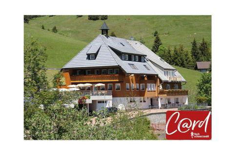 Ferienwohnung-Feldberg-in-der-Pension-Gloecklehof - Foto 1