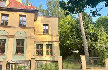 Szmaragdowa Sowa - Foto 19