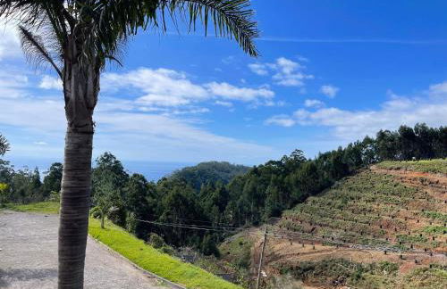 Hollywood villa - Foto 44